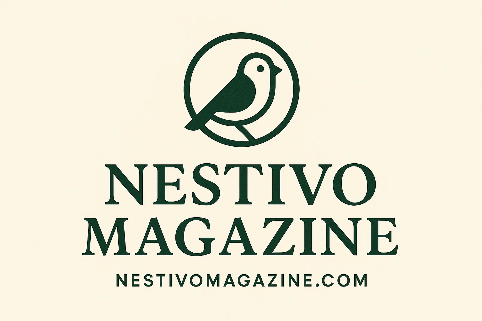 Styleinventure com